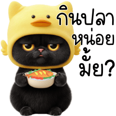 ดำเกิง แมวดำหมวกเป็ด 1_66
