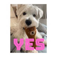 ERIKA&coco_20250627000524