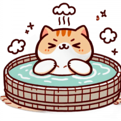 Bath Cat Angry,