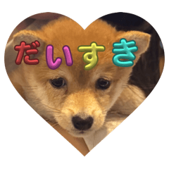 asahi_20250626152436