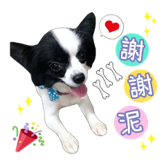 公主寶-小樂