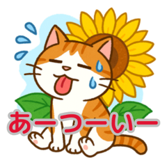 Shirocha the Cat's Busy Day!2