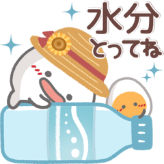 Very usable kabuchan.2