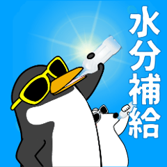 Animals in Sunglasse 9