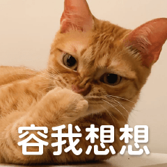 餅泥球-實用生活篇 2