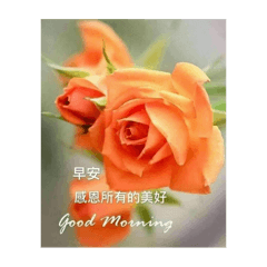 Jenny & Brian mommy_20250627110244