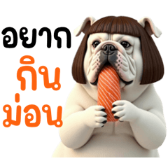 น้องหมา หน้าย่นโซคิ้ว