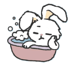 World-weary beauty rabbit