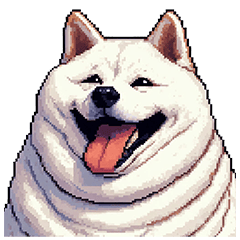 無言で伝える太っちょ白柴犬