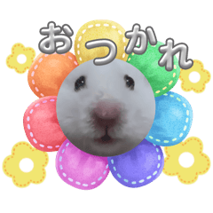 Himawari_20250623180103