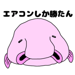 夏とブロブフィッシュ。