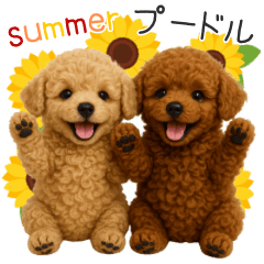 毎日使える！夏のプードル