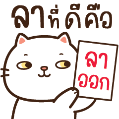 ดูบู แมวขาวเต้าหู้