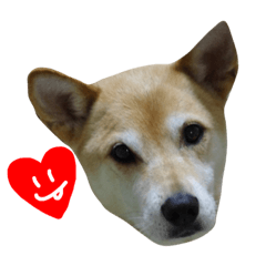 ERIchan Stamp