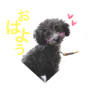 ito.chan