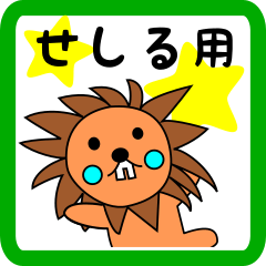 せしる用 ライオンけいたん