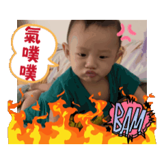 奇異果寶寶寶