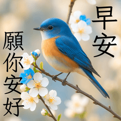 質感長輩圖2 早安午安晚安問候 花卉大貼圖