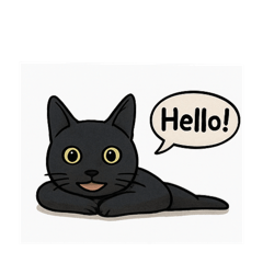 I am Kiki cat