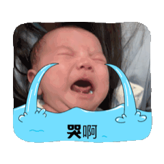 橙的表情包