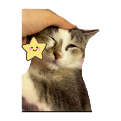 阿咪咪咿咿呀呀