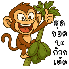 Playful Monkey (Kum-muang)