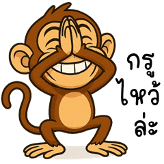 Playful Monkey (THAI)