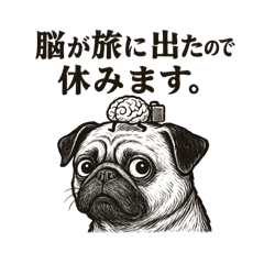 Bakula_20250623222650