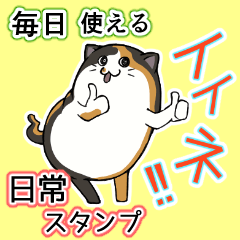 Cat's daily Sticker(every day)