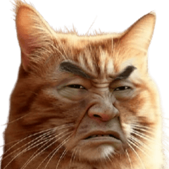 おじキャット
