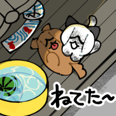 Pressed cat Popo & dog Pupu (summer)