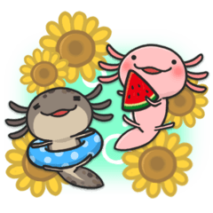 Axolotl summer Stickers
