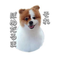 avaiii_20250625181259