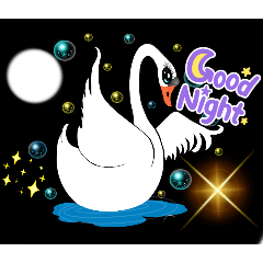 Shirley cute stickers 2025-7-3