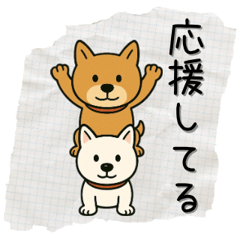 Motivational Shiba Study Pack