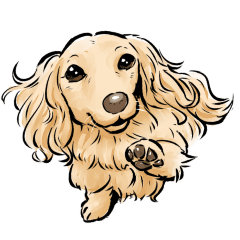 UCHINOKOstamp No. 88!