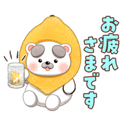 【のこのこ うちのコ】ととん