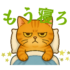 The defiant cat, the tsundere cat series