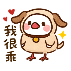 鳥鳥日常嘰嘰喳喳！可愛又療癒｜