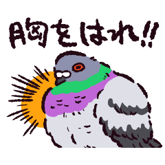Feral pigeon
