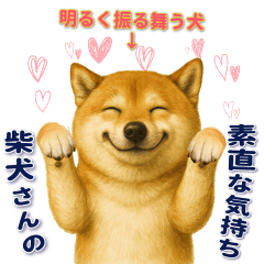 柴犬さんの素直な気持ち