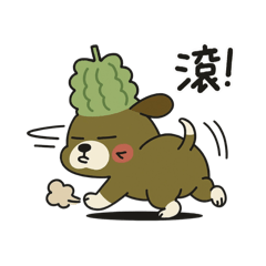 Bitter Gourd Dog Daily Ennui