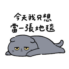 大蕊貓的懶懶日常