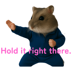 Mr. Puku, the Hamster Teacher