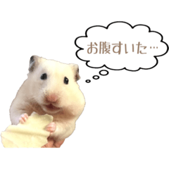 gigo hamustamp