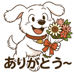 Daily Life of a Fluffy White Dog