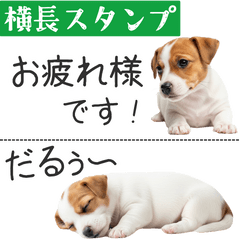 ジャックラッセルの横長スタンプ