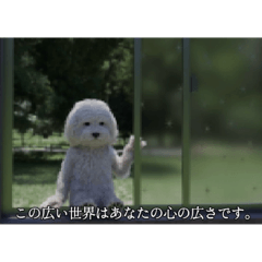 ْ いぬ