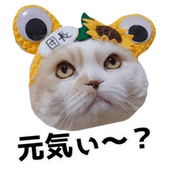 Ku_ouji2