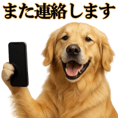 Golden Retriever using polite language